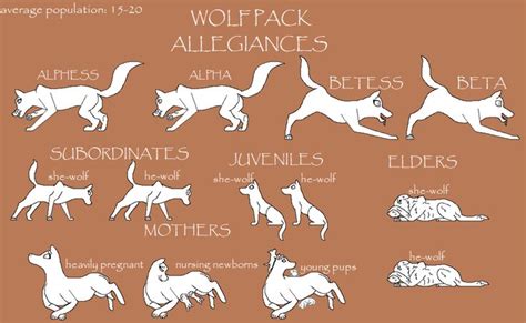 wolf pack ranks and meaning